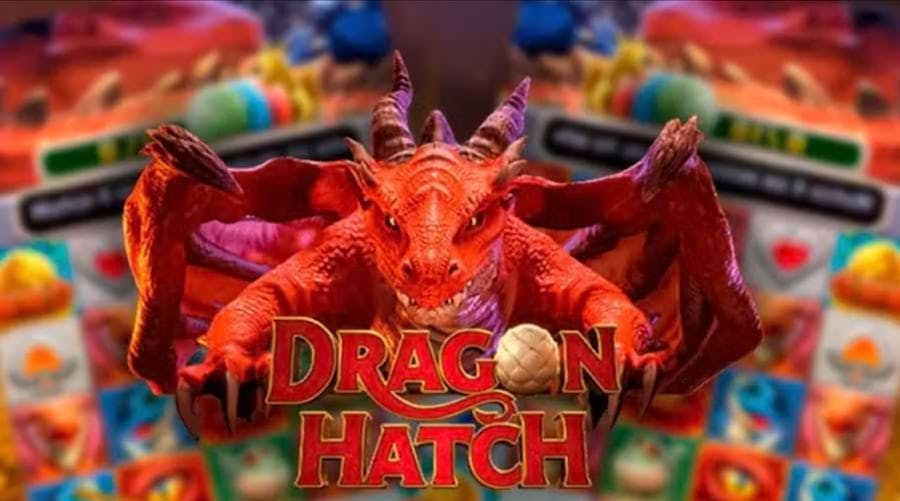 www bingo slots online